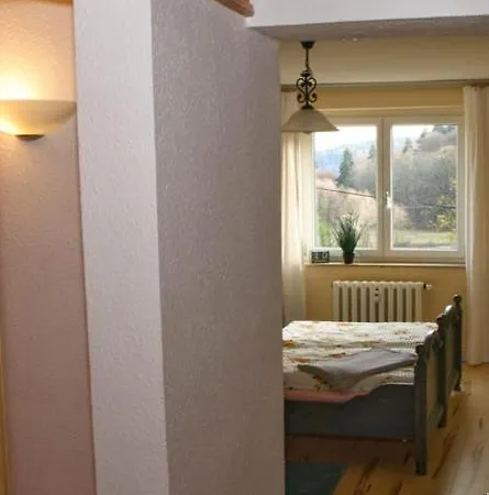 Wolf Apartment