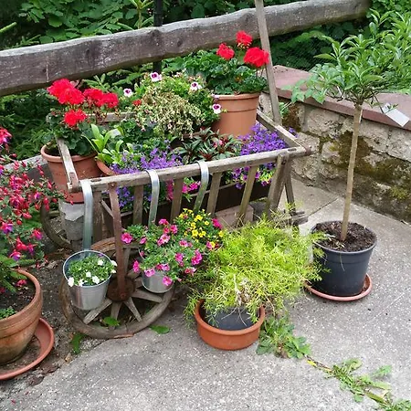 Appartement Wolf Gräfenroda