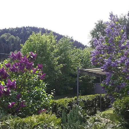 Appartamento Wolf Gräfenroda