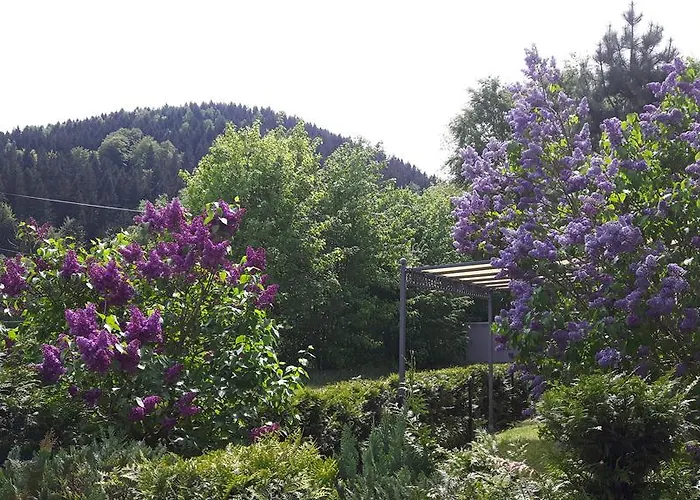 Apartmán Wolf Gräfenroda